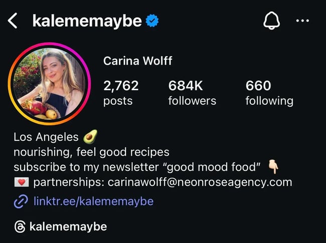 example of an influencer’s bio.